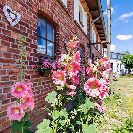Ostsee Bauernhof Schwalbennest Ofc 15 Steffenshagen Buitenkant foto